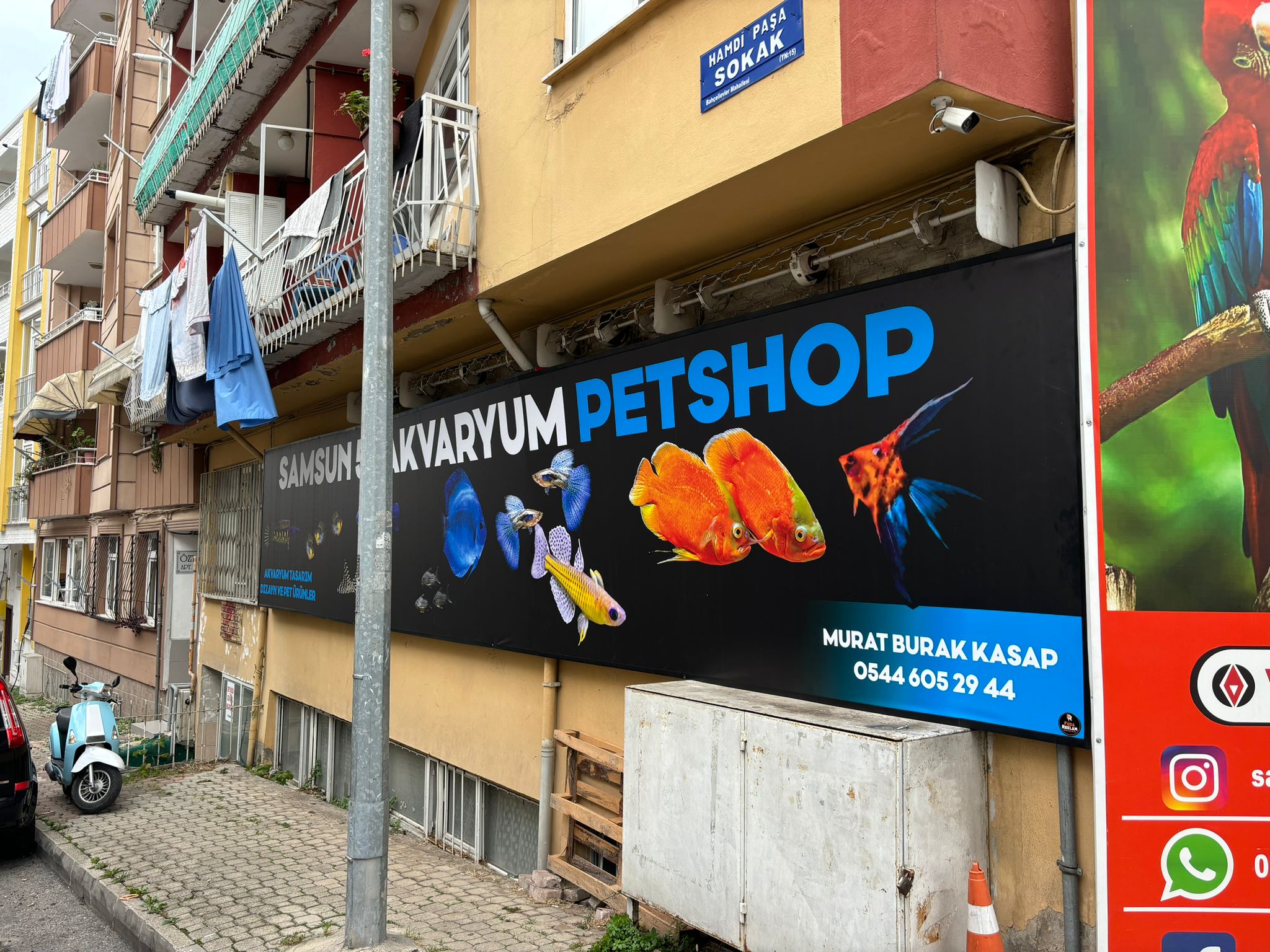 Samsun 55 Akvaryum